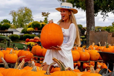 A beautiful European blonde female pics out some pumpkins and flowers for the upcoming fall