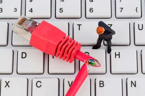 A red network cable of a computer. In the background a computer keyboard statue