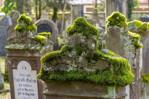 Jewish cemetery with gravestones and grave slabs with green moss, Bad-Buchau, Upper Swabia,