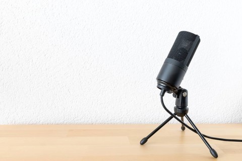 An image of a typical microphone on white background