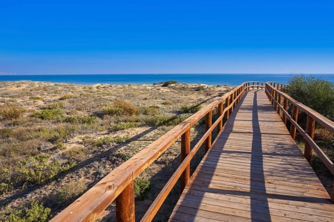 Arenals del Sol Beach dunes in Elche Elx of Alicante in Costa Blanca at Spain