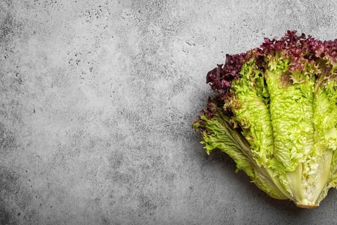 Fresh raw organic farm Lolo Rosso lettuce salad on grey rustic stone background top view, healthy