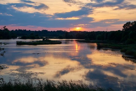 Garstadt bird sanctuary, district of Schweinfurt, Lower Franconia
