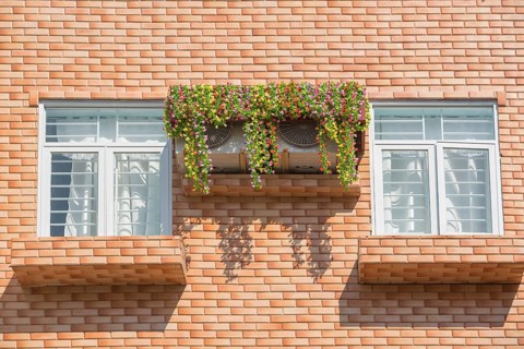 Two windows in wall - two air conditioners covered with flowers between