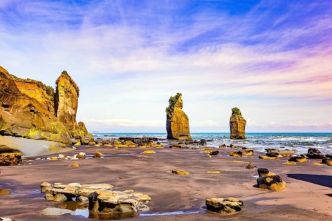 North Island. New Zealand. The Tongaporutu beach on the Pacific coast. Low tide exposed the coastal