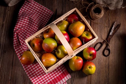 Autumn Apple