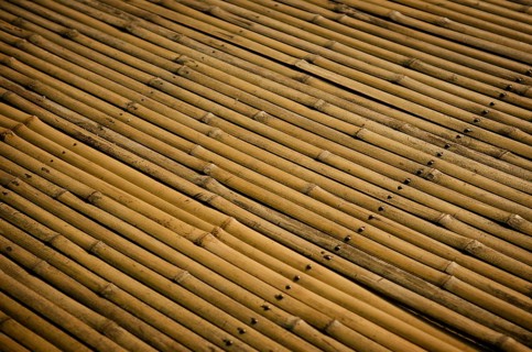 Detail of bamboo surface