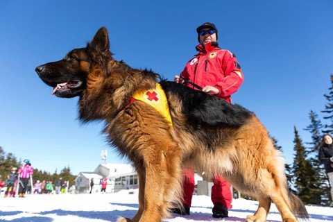 Sofia, Bulgaria - January 28, 2016: Saviors from the Mountain Rescue Service at Bulgarian Red Cross
