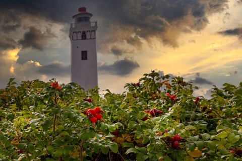 Strib Fyr a lighthouse in Denmark