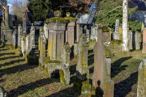 Jewish cemetery with gravestones and grave slabs with green moss, Bad-Buchau, Upper Swabia,