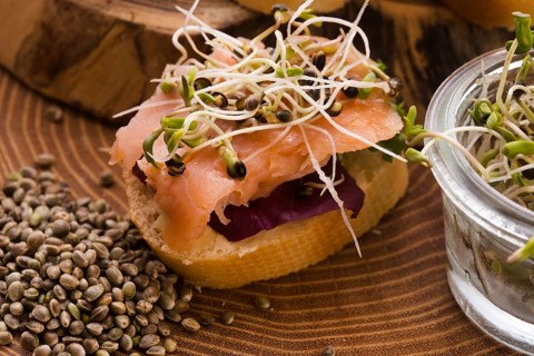 Cannabis spouts dish. superfoods