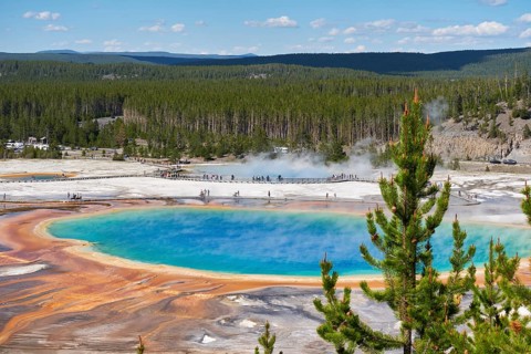 Grand Prismatic Spring Pool In Yellowstone National Park, Wyoming, USA, USA, North America