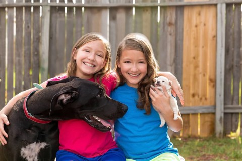 Twin sisters puppy pet dog and great dane playing together