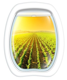 Plane window on Napa Valley at sunset, California, United States, from a plane through the porthole