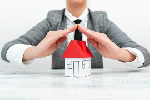 Lady Presenting New Home Insurance Deals In Outfit, Business Woman Showing Possible Mortegage