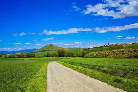 Cereal fields by The Way of Saint James in Castilla near Burgos