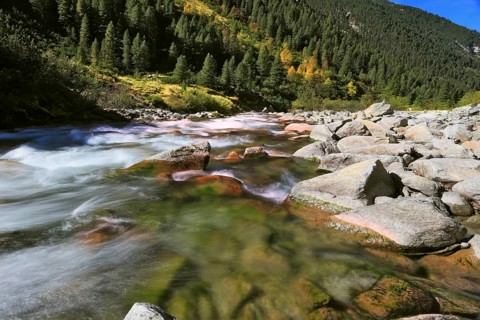 Pastoral in the Alpine mountain valley in Austria. Rapid mountain stream. Cascades of cold water at