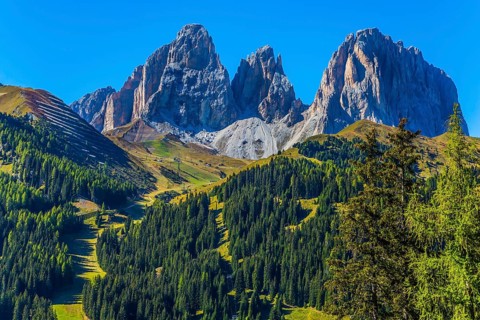 The coniferous forests at the foot of limestone and dolomite rocks. The most picturesque route in