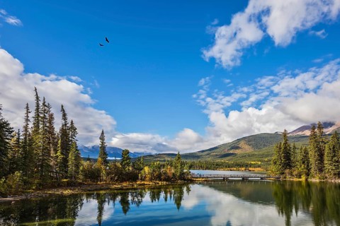 Transparent autumn morning in Jasper National Park. The woody small island in Pyramid Lake