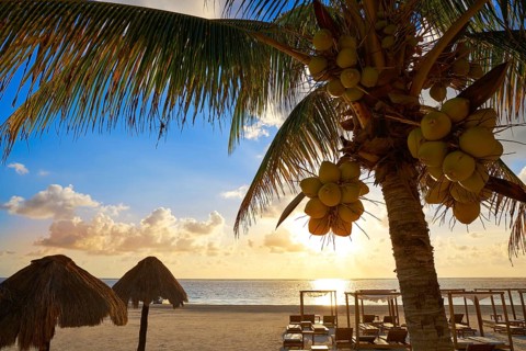 Riviera Maya sunrise beach pal trees at Mayan Mexico