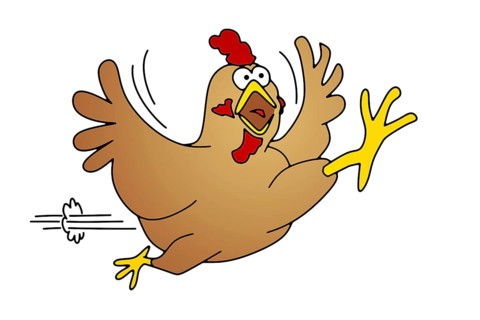 A comic art illustration of a running chicken isolated on white background