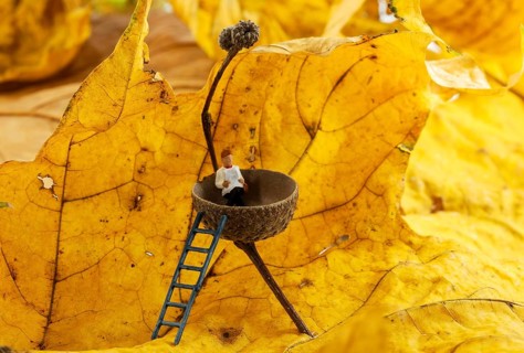 Man resting and reading newspaper in a acorn cab with autumn leaves as background