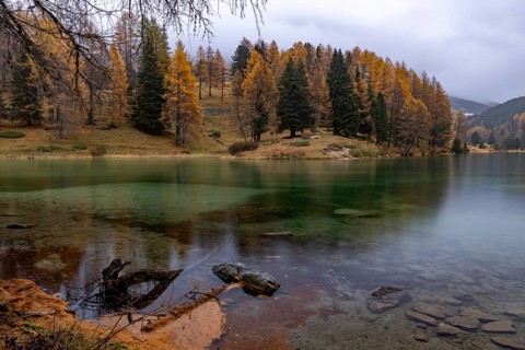 Autumn evening atmosphere, Lake Palpuognasee, Bergün-Filisur, Graubünden, Switzerland, Europe
