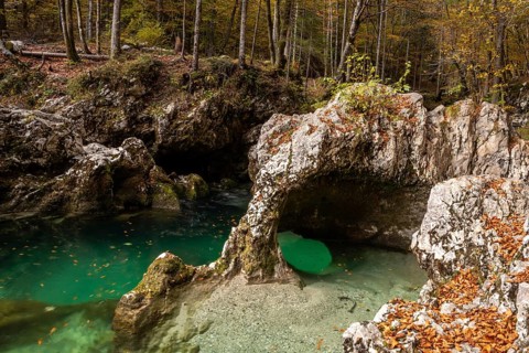 A stream flowing through the beautiful Mostnica Gorge in the Triglav National Park, located in the
