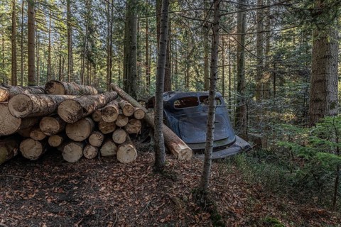 Wrecked Hudson Terraplane K Tourer Sedan built in 1935 that has been sitting in a forest for