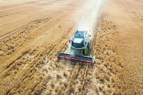 Combine harvester working on a wheat field. Combine harvester Aerial view