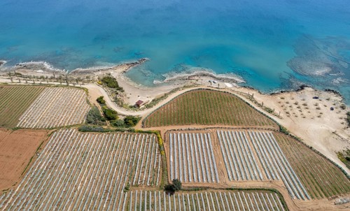Aerial drone view of greenhouses in a row, covered with a transparent film of growing vegetables