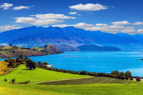 Lake Wanaka. New Zealand, South Island. Adorable lake with turquoise water. Picturesque vineyard