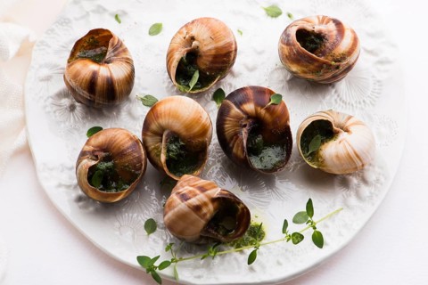 Escargot platter, delicious french delicatessen