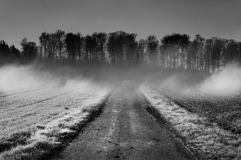 Foggy landscape, near Wesertal, Weser Uplands, Weserbergland, Hesse, Germany, Europe