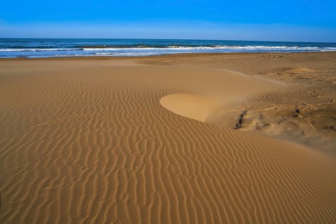 Delta del Ebro Ebre beach Punta del Fangar in Tarragona Costa Dorada Deltebre