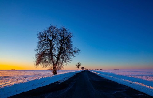Empty road through snow-covered field after a blizzard at sunset. Clear sky, golden light. Idyllic