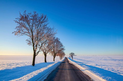 Empty road through snow-covered field after a blizzard at sunrise. Clear sky, golden light. Idyllic