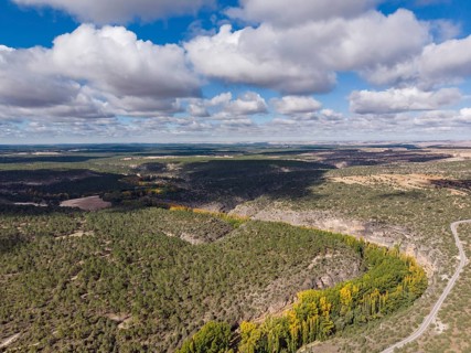 Meander, Las Hoces del Río Duratón Natural Park, Segovia province, Spain, Europe
