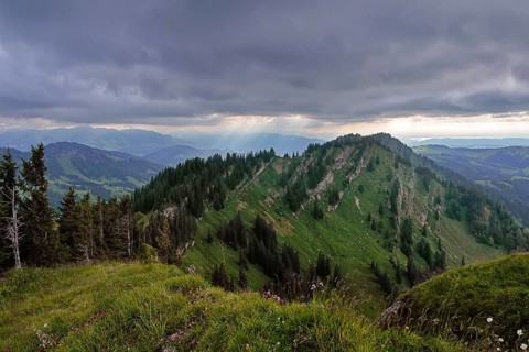 View from the Seelekopf to the Hohenfluhalpkopf, Nagelfluhkette, Allgäu