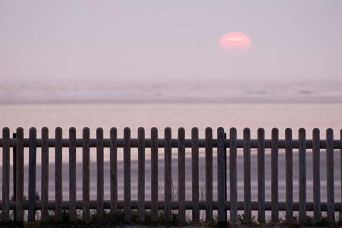 Landscape by the sea with wooden fence in the foreground and calm sunset in the background, Borkum,