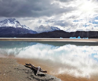 Dry driftwood on the sandy beach. Bright reflections of sky and clouds in the smooth cold water of
