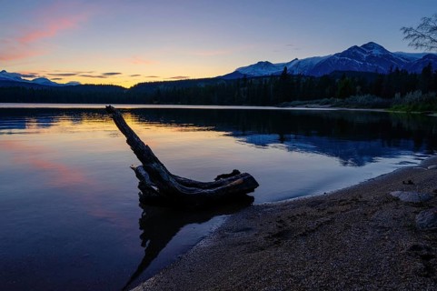 Beautiful autumn landscape scene in mountain in background in Jasper National Park west Canada