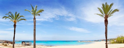 Els Pujols formentera beach with turquoise water and palm trees in balearic islands