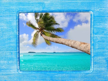 Blue wood border frame with palm tree tropical beach