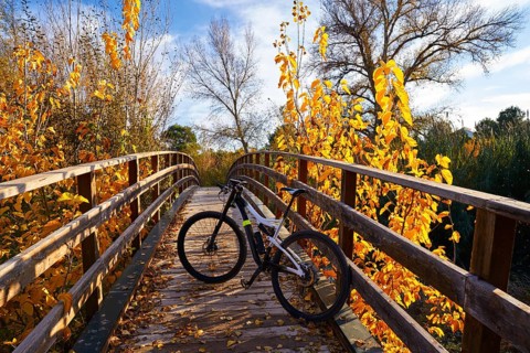 Sunset bike on autumn fall wood bridge at Parque de Turia of Valencia park in spain