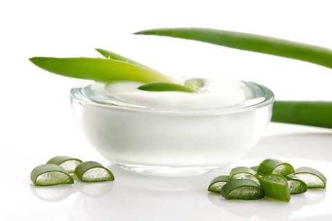 Aloe vera - leaves and cream isolated on white background, poland