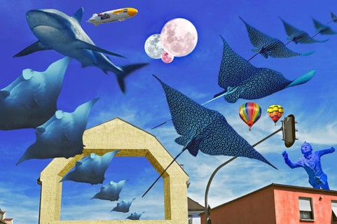 Whimsical composing, bare facades and traffic lights in front of blue with manta rays and rays,