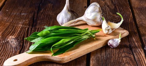 Fresh and tasty wild garlic