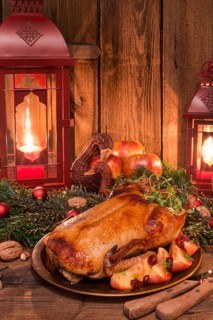 Christmas duck