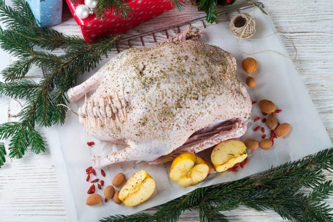 Goose before roasting